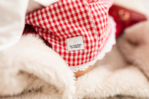 Red Gingham Skirt