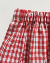 Red Gingham Skirt